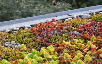 the cost of Brock Hill green roof installation