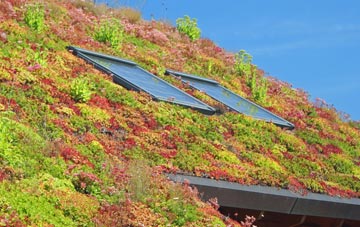 Brock Hill living roof systems