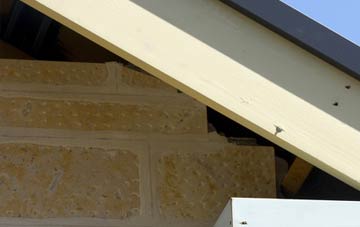 soffit repair Brock Hill